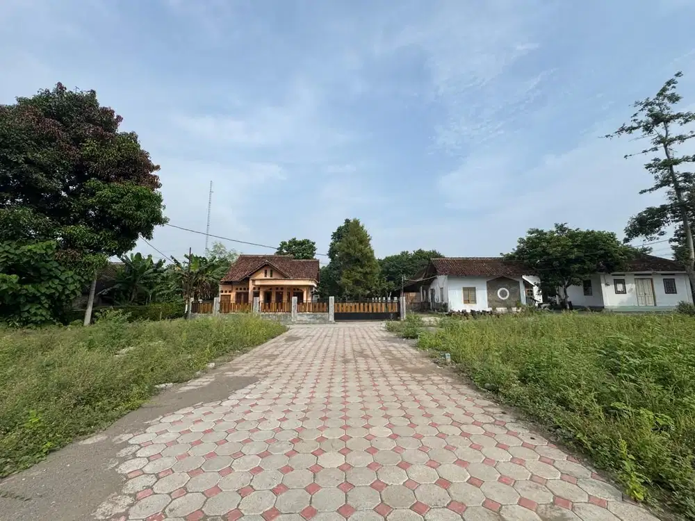 Tanah Dijual Murah Dekat Jogja Expo Center, SHM P