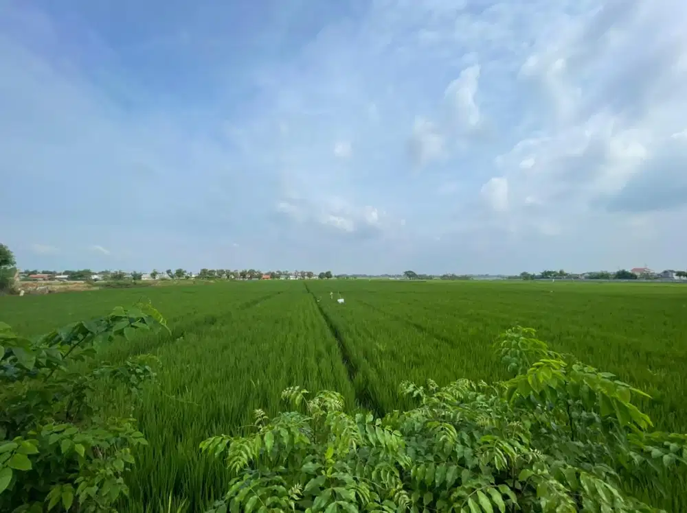 DIJUAL Kavling Perumahan Cikarang