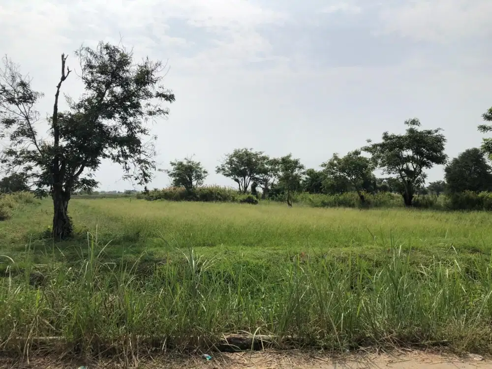 Dijual Kavling/tanah di Kp Utan Gedong, Muara Gembong, Bekasi