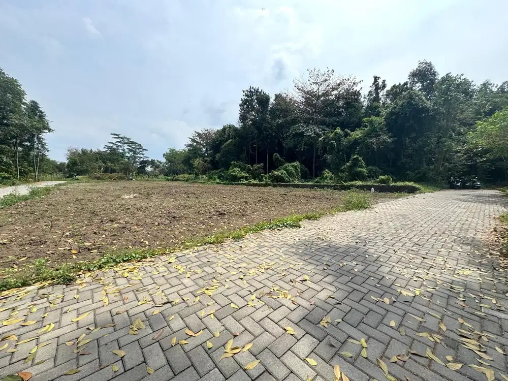 Jual Tanah Sleman Jogja Belakang Kampus