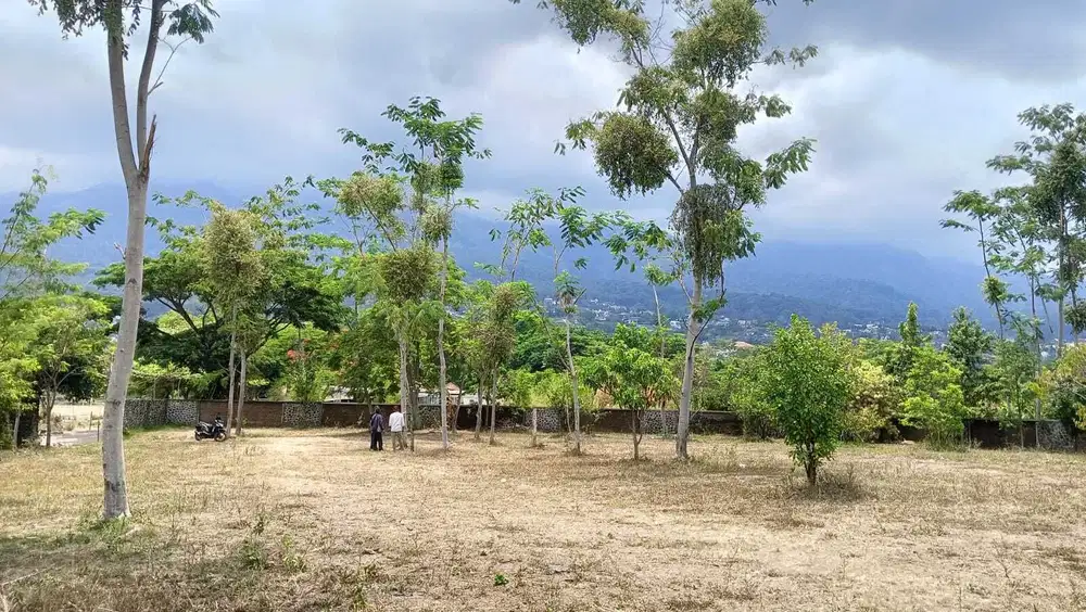 TANAH PRIGEN ISTIMEWA