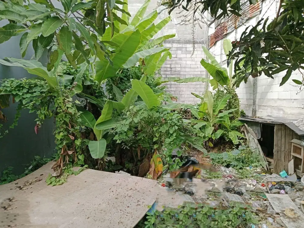 ‼️JUAL CEPAT‼️TANAH KAVLING SIAP BANGUN DI BUMI WONOREJO ASRI SBY TIMU