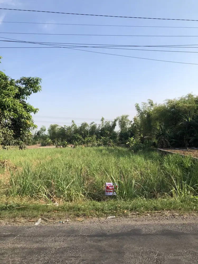 DIJUAL TANAH DAWARBLANDONG KEDAMEAN GRESIK