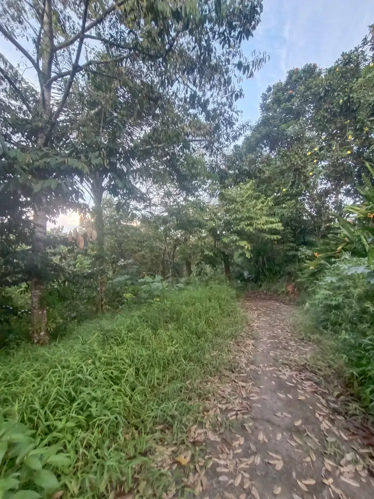 Dijual tanah km14 jl. Soekarno Hatta Bpn