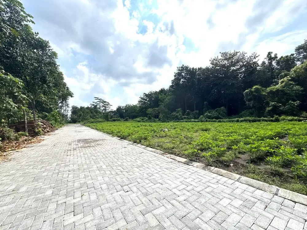 Tanah Murah Jogja Dekat Kampus Prospek Bangun Kos