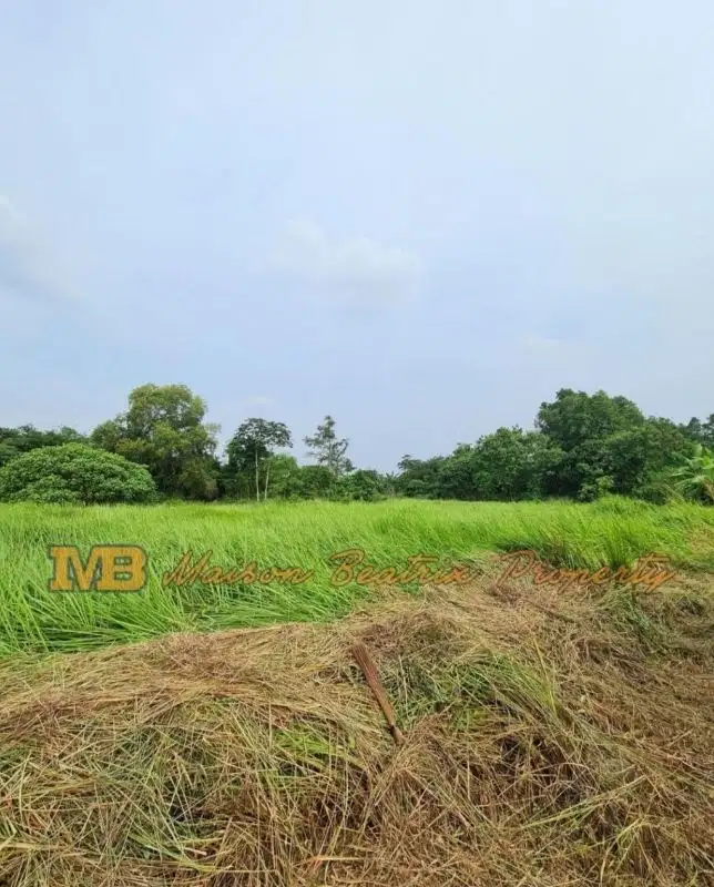 Tanah Murah Cocok Untuk Cluster, Sekolah DLL di Cisauk Tangerang