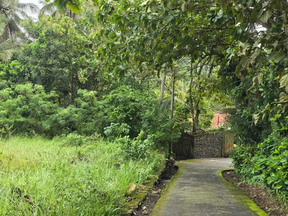 Dijual tanah luasan kecil berdampingan dengan villa komersil