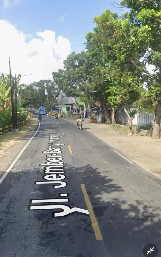 Raya jember banyuwangi rogojampi