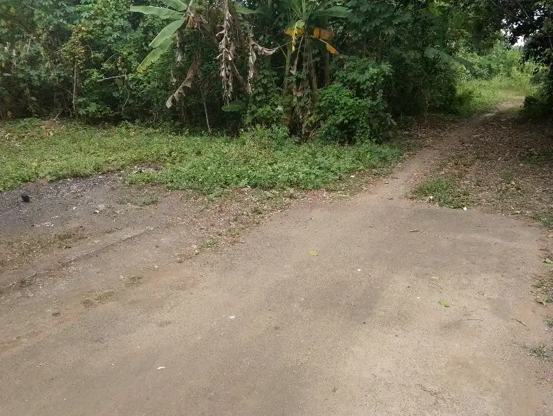 tanah di cipocok kota serang banten