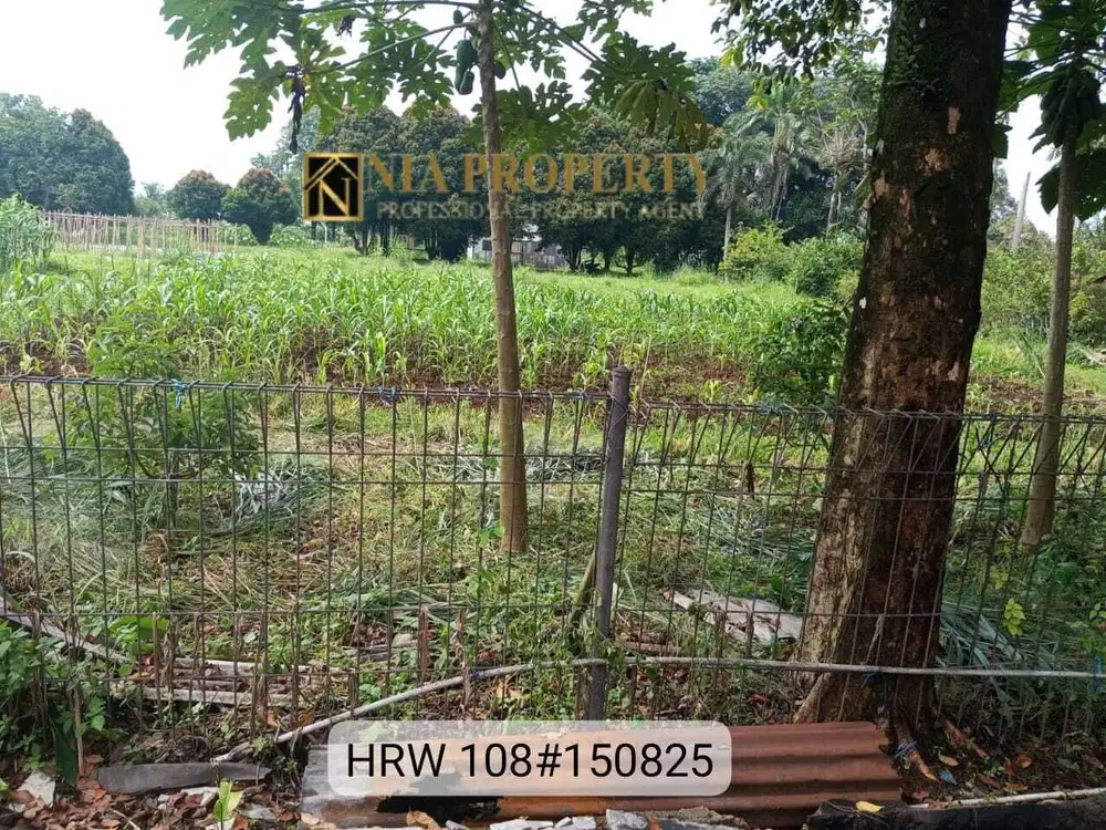 Dijual Murah Tanah di Dekat Kampus IPB Dramaga Bogor