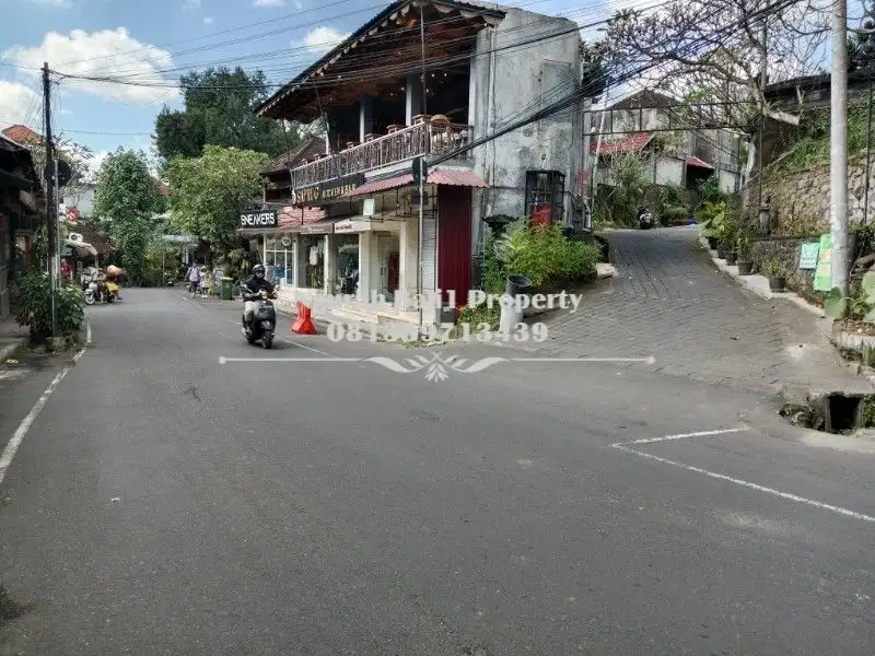 Disewakan Tanah Premium Murah Luas 26,85 Are di Sentral Ubud