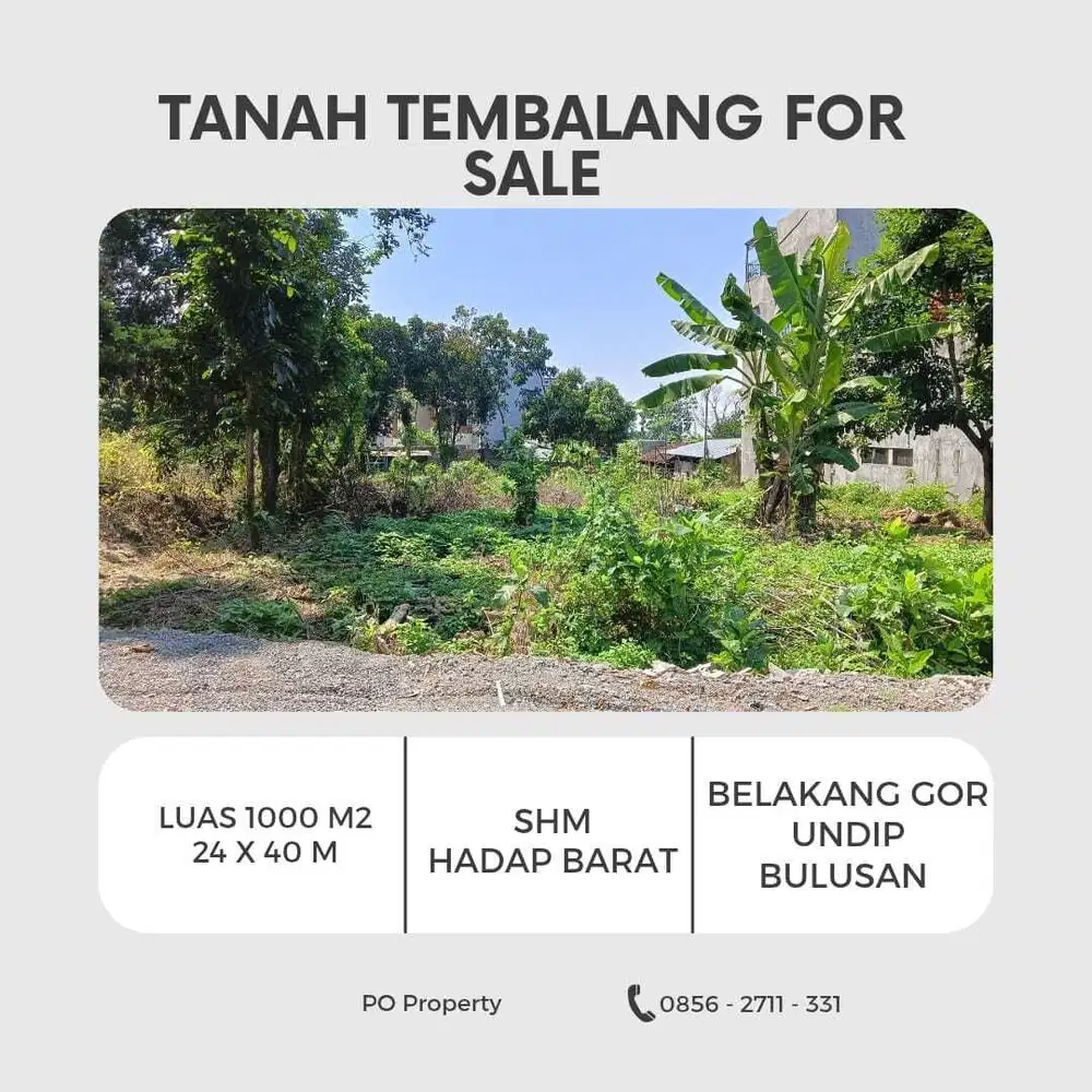 Tanah Ngantong Bulusan Ring 1 Undip Belakang Stadion / GOR