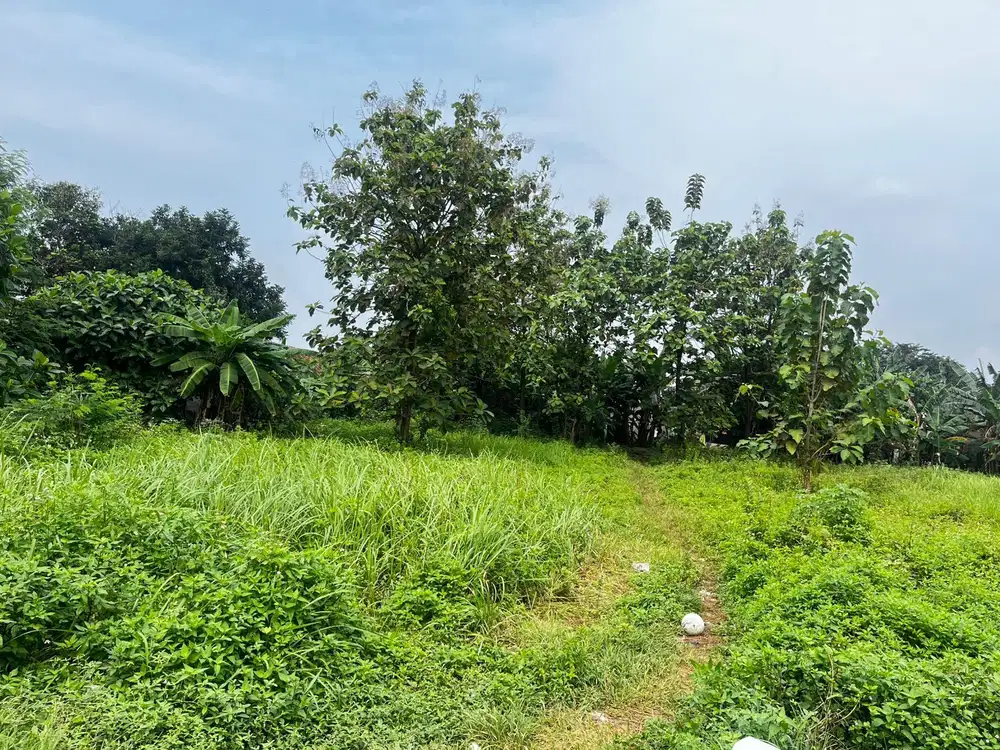 Layak Hunian & Investasi, Kavling SHM Bojong Kulur