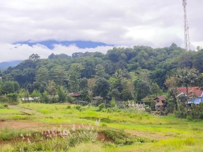 Tanah Dijual Luas 157m2 Dekat Wisata Taman Safari Puncak