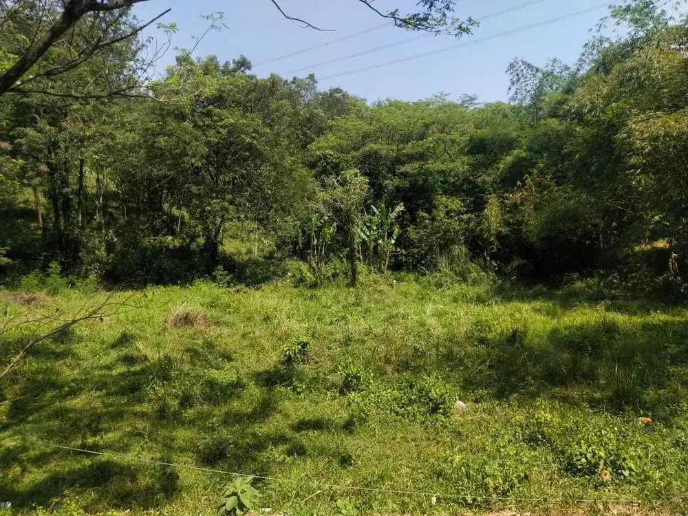 Tanah Jalan Raya Transyogi Termurah