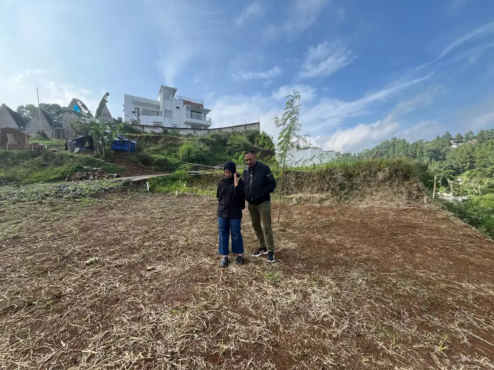 Tanah murah di puncak luas 526m2 udara dingin