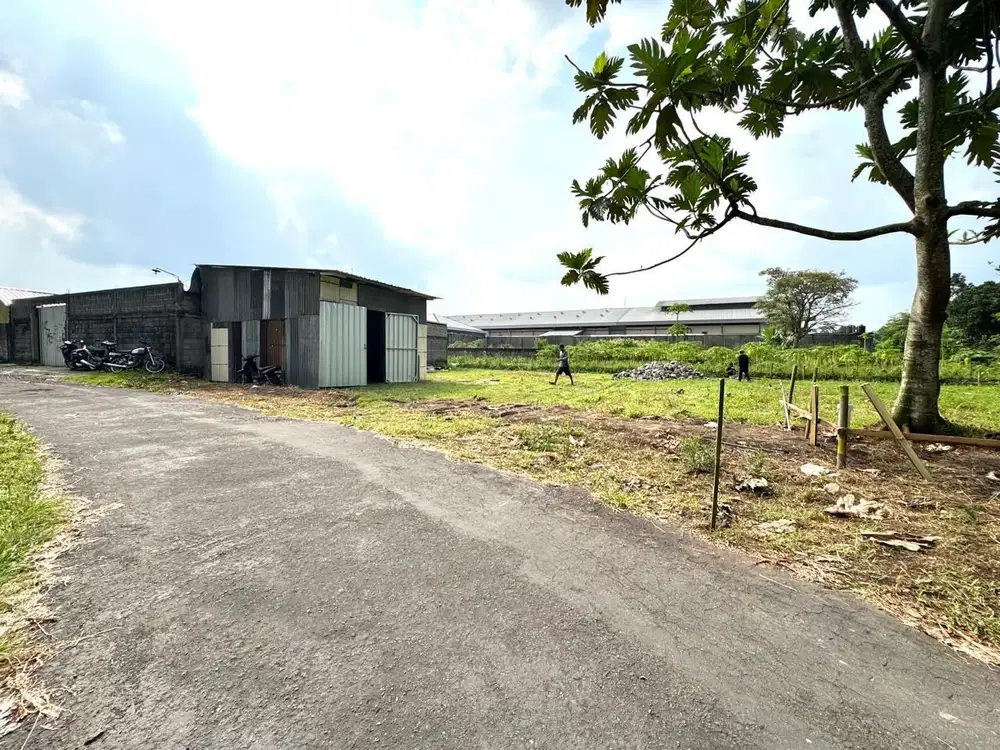 Tanah Pekarangan Area Palagan Sleman, Harga 3 Juta-an