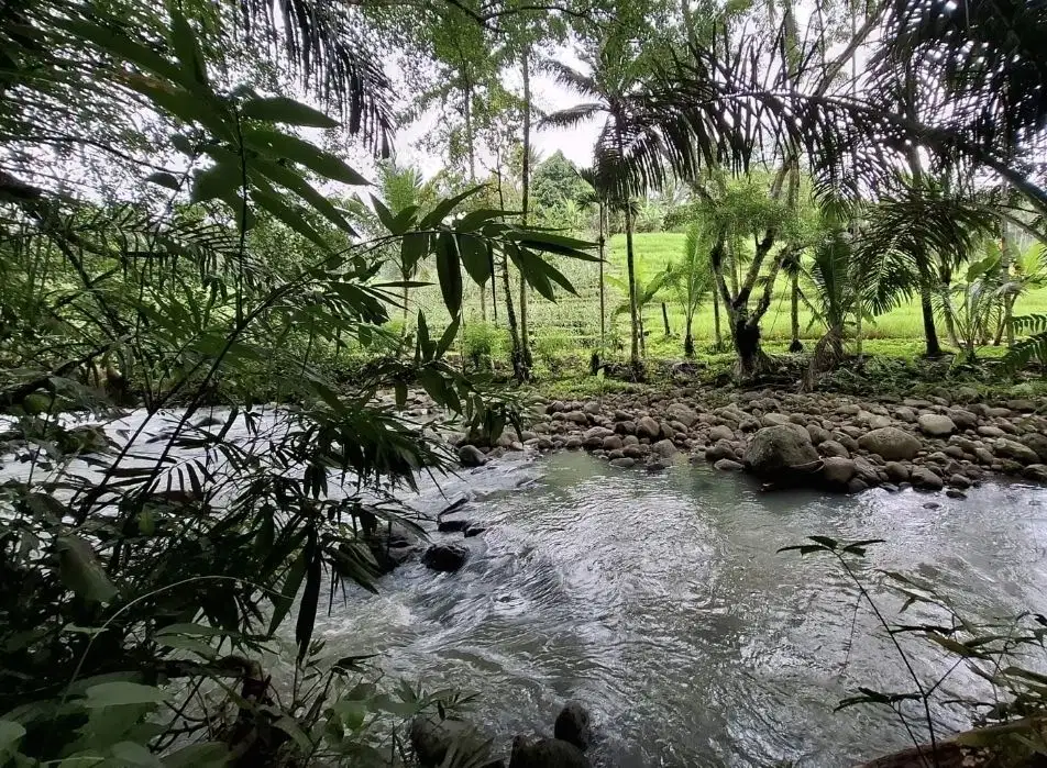Dijual tanah kebun los sungai dengan view sawah terasering