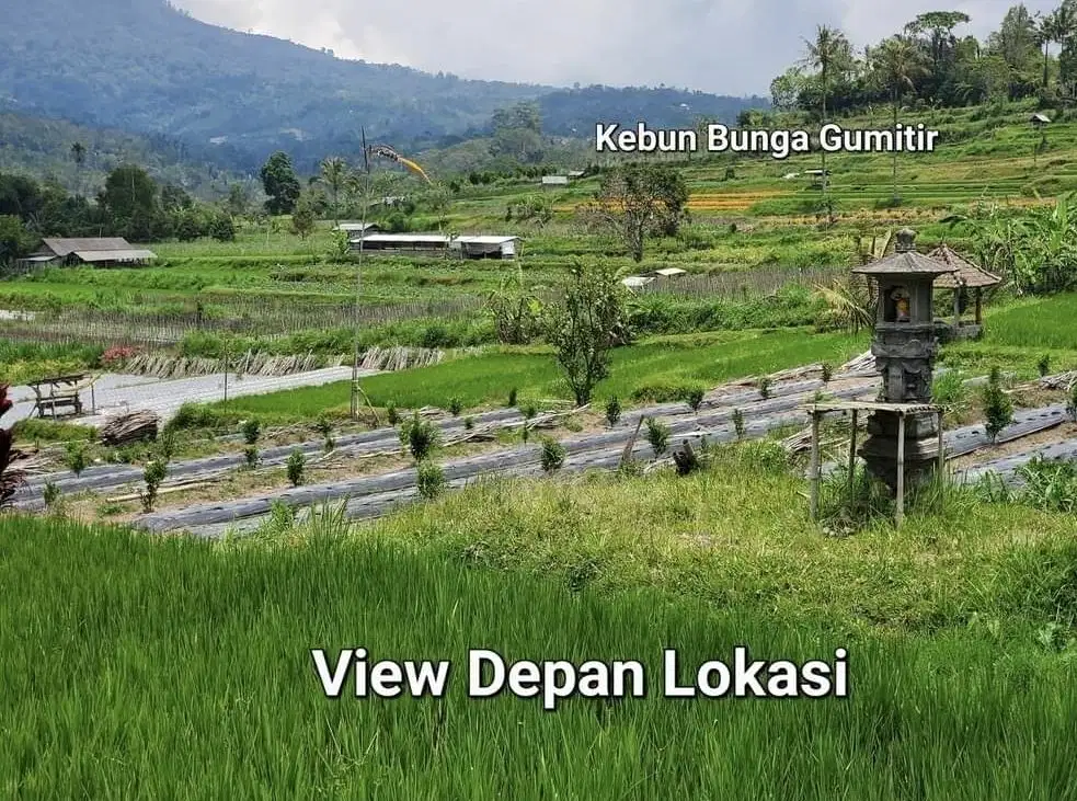 Dijual tanah kebun view sangat indah dan suasana sejuk pegunungan