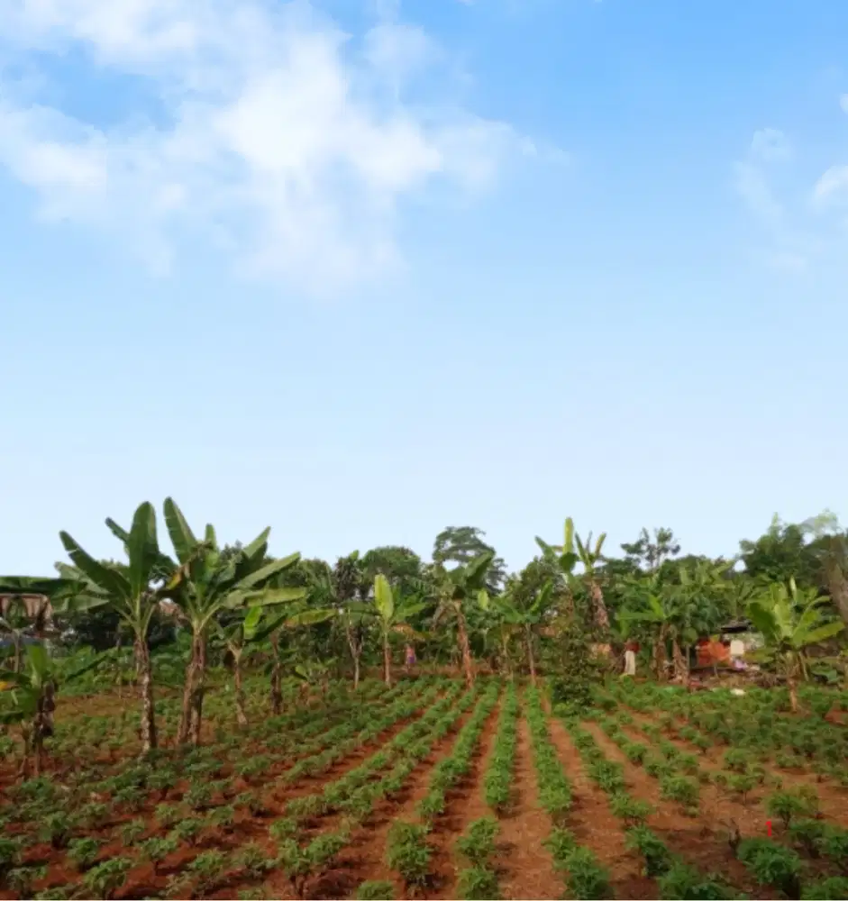 Kavling Murah Bojonggede Bogor Cicil 12x Bunga 0%