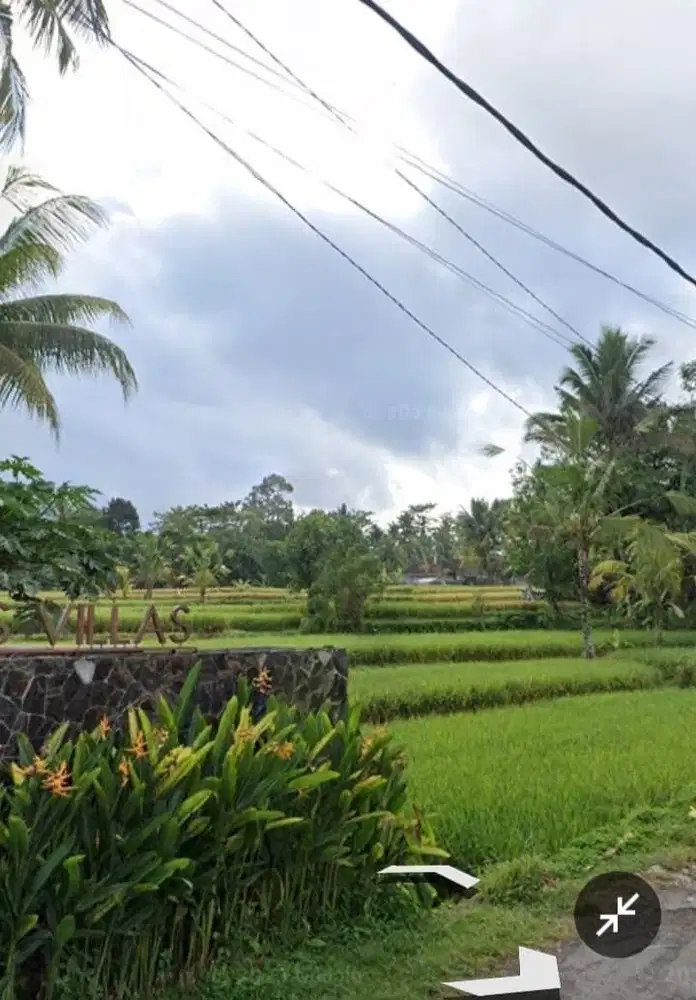 Di jual tanah 21 are di Ubud harga global 12.6 M