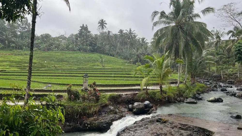 Di jual tanah sudah berisi bangunan dengan view sawah dan sungai