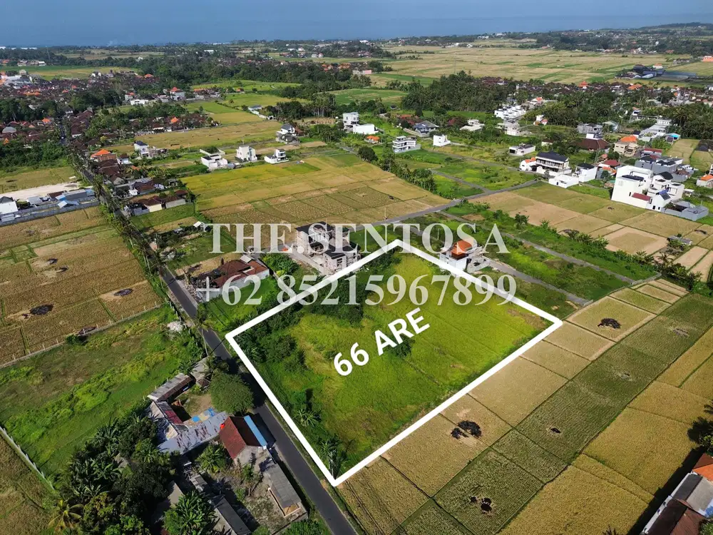 TANAH KEDUNGU JALAN UTAMA COCOK DI KEMBANGKAN