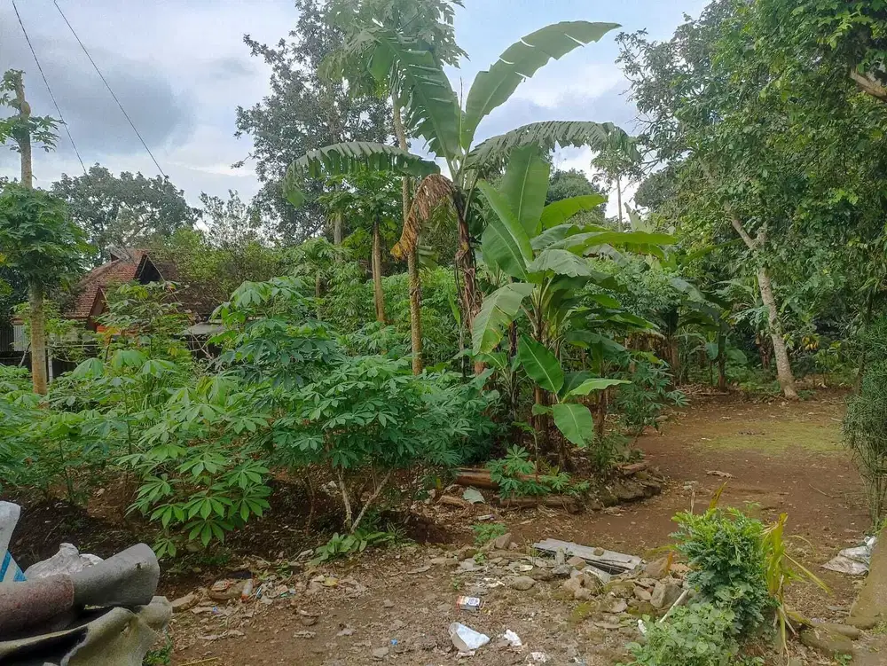 Jual Cepat tanah SHM di Argomulyo Salatiga dekat RS Paru