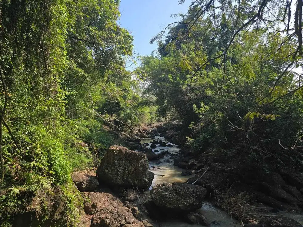 Dijual tanah los sungai luasin kecil di selemadeg