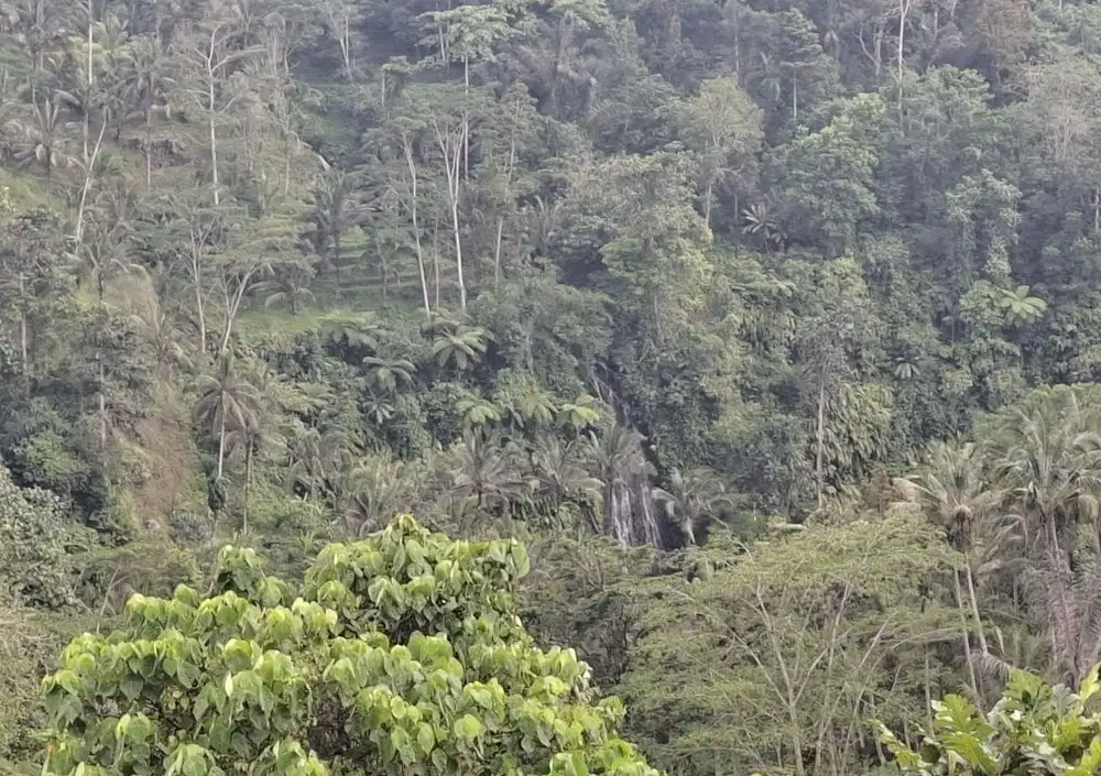 Dijual tanah los sungai besar dan view air terjun, gunung dan sawah