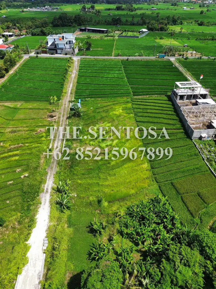 tanah pantai nyanyi luna beach club