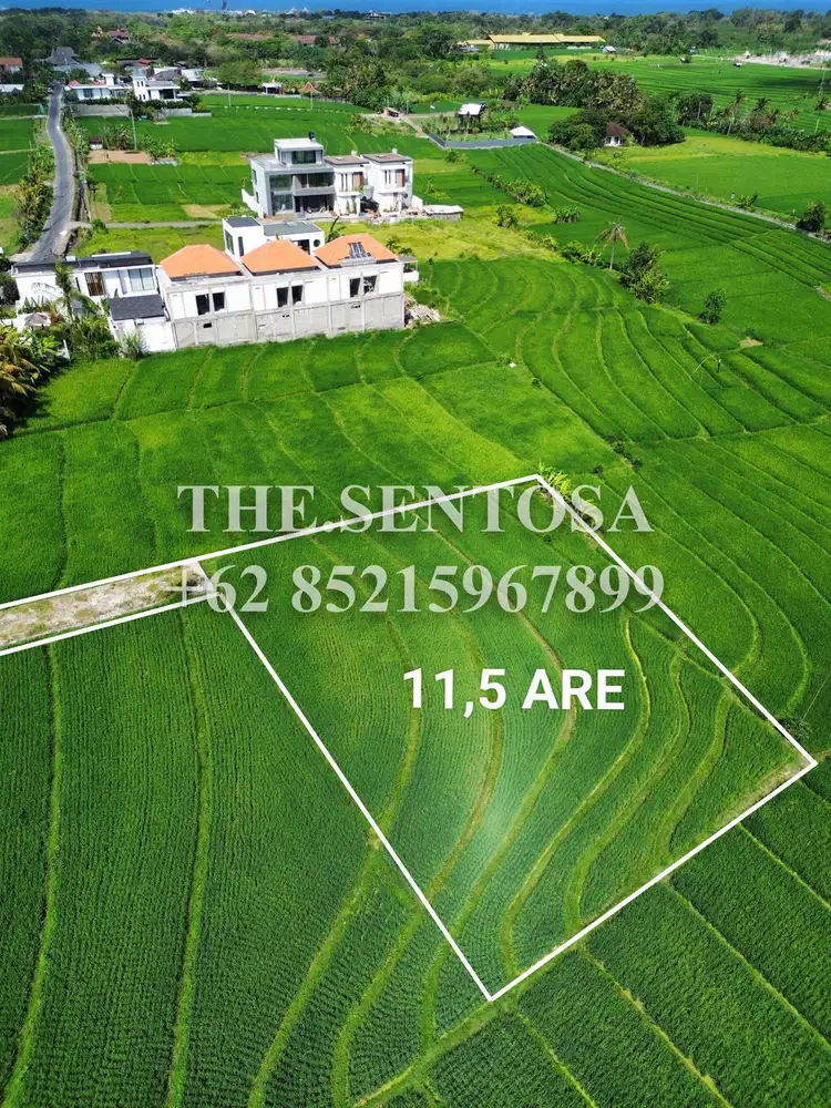 Tanah pantai nyanyi view sawah 360 derajat