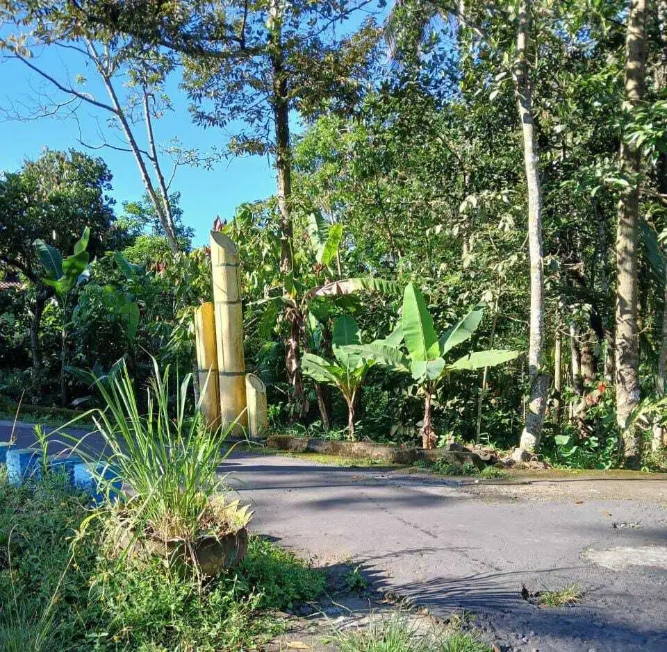 Jual cepat tanah SHM Sawah di Pakem Sleman dekat Fasum