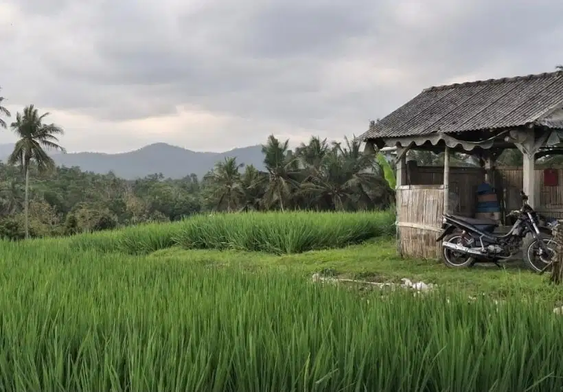 Dijual tanah zona pink atau zona pariwisata dekat pantai di bali