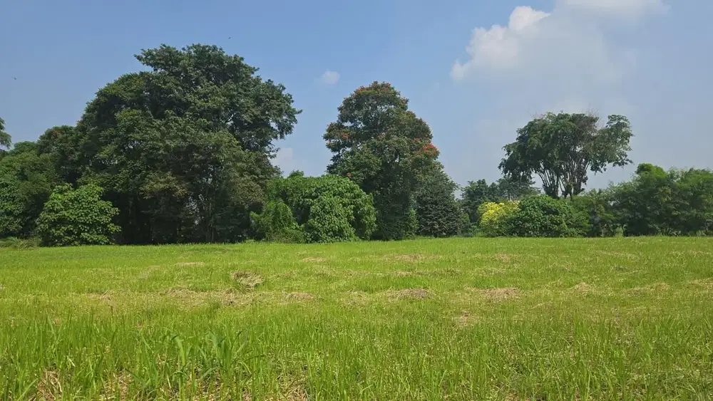 Kavling murah hadap timur Paramount hill golf, Gading Serpong