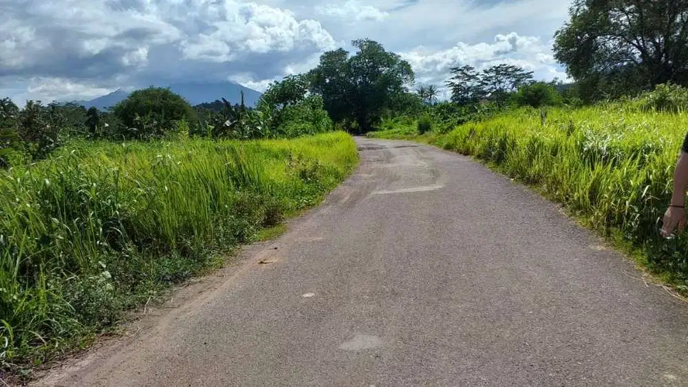 Tanah Murah Luas 25 Ha Cocok Dibangun Perumahaan di Taktakan, Serang