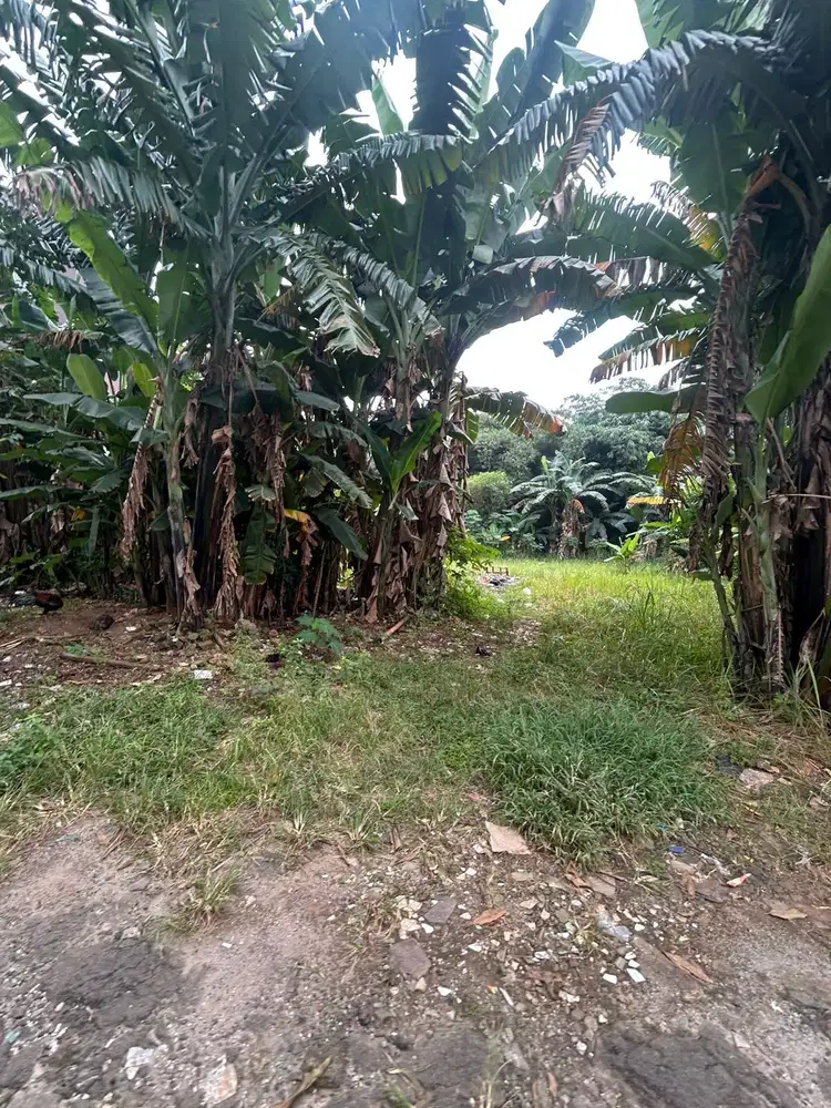 Dijual Kavling Lokasi Strategis Siap Bangun di Parigi Baru