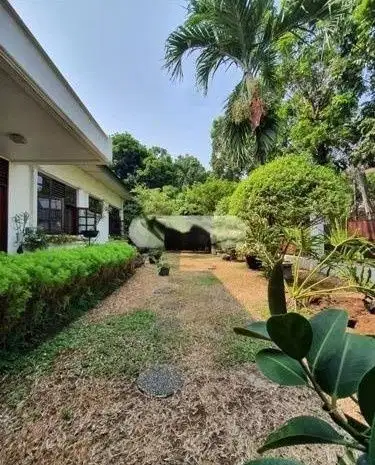 5 Bedroom Rumah Terawat Lokasi Prime Area Menteng - turun harga