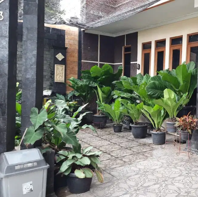 Dijual  Rumah Siap Huni Di Graha Raya Bintaro