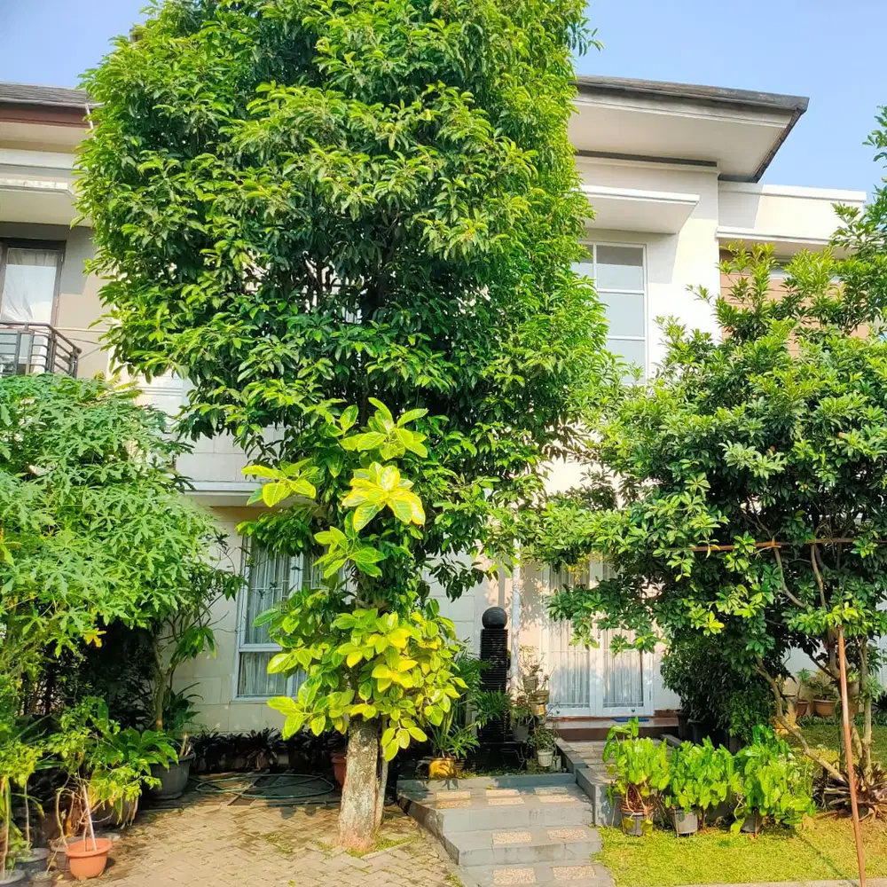 Jual Cepat Rumah Mewah 2Lantai Dalam Cluster Sevilla Bsd City