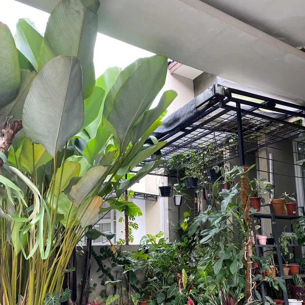 Jual Cepat Rumah 2Lantai Di Cendana Residence Pamulang Tangsel