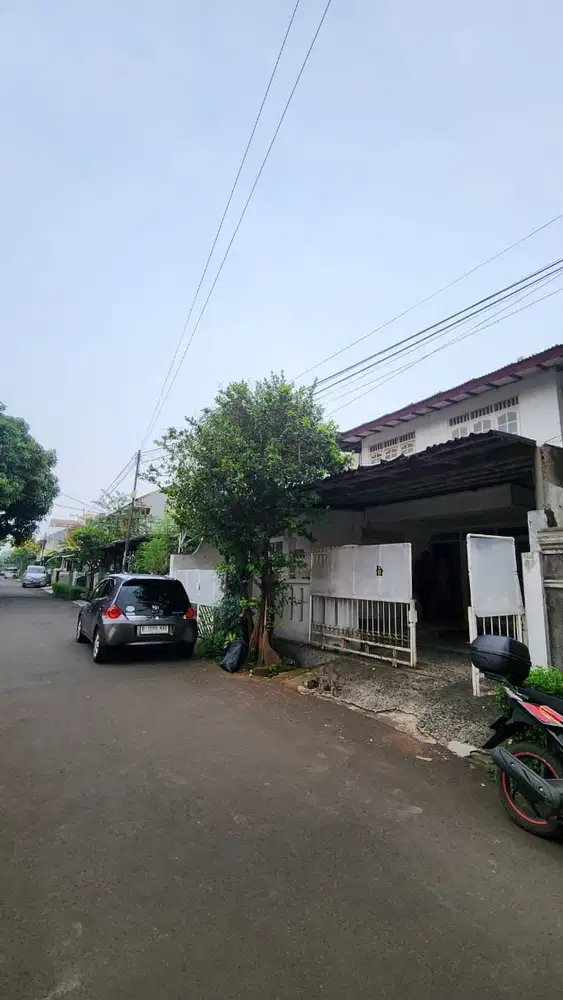 Pelikan Bintaro Jaya Sektor 2