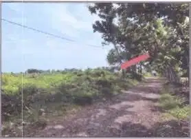 Tanah Luas Dan Murah Strategis Desa Martopuro, Purwosari Pasuruan