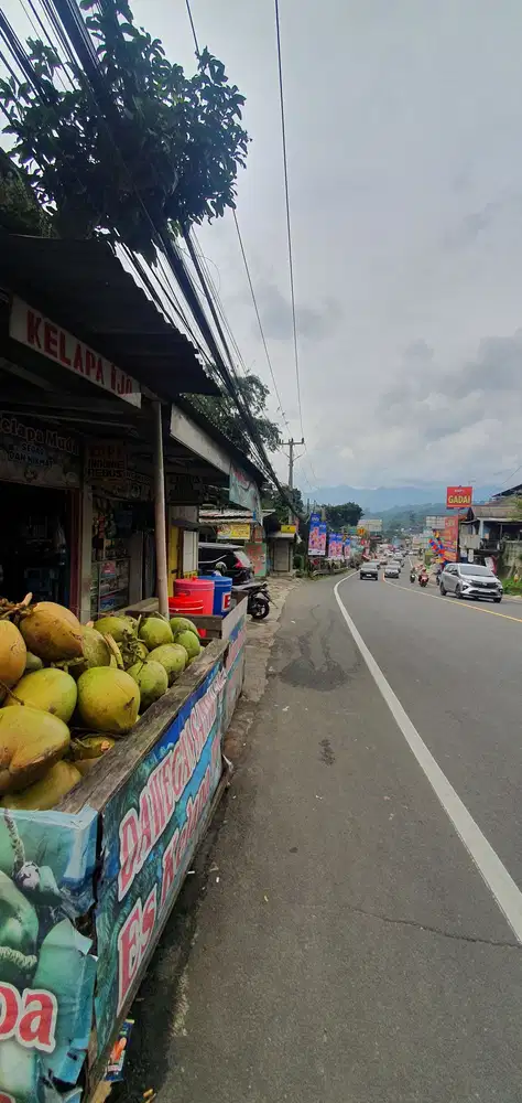 Jual Cepat Tanah di Jl. raya Puncak - Gadog,Ciawi