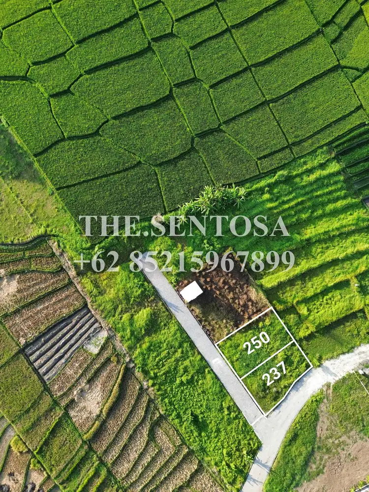 TANAH SIAP BANGUN KEDUNGU dekat NUANU