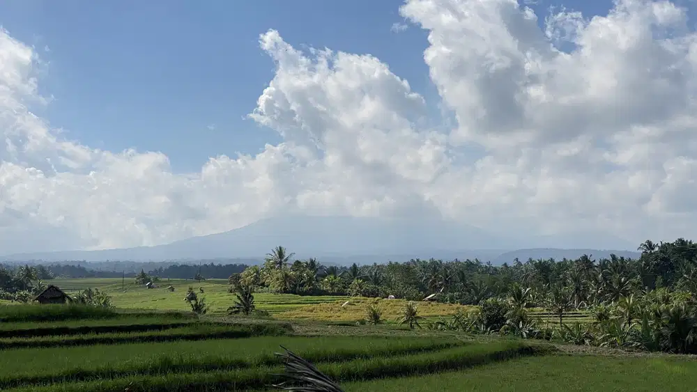 Di jual tanah dengan view gunung dan sawah