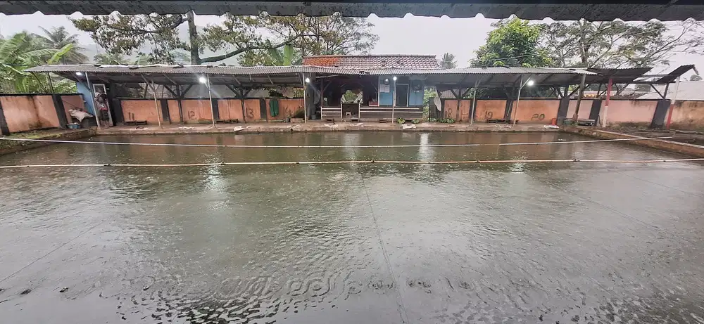Di jual butuh Tanah dan pemancingan ikan aktif
