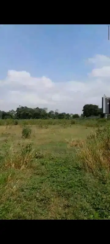 Tanah Cocok Gudang dan Pabrik  di gn Maloko Cisauk Tgr