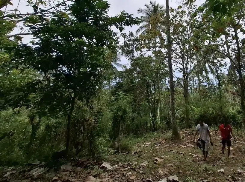 Dijual tanah view laut di tabanan