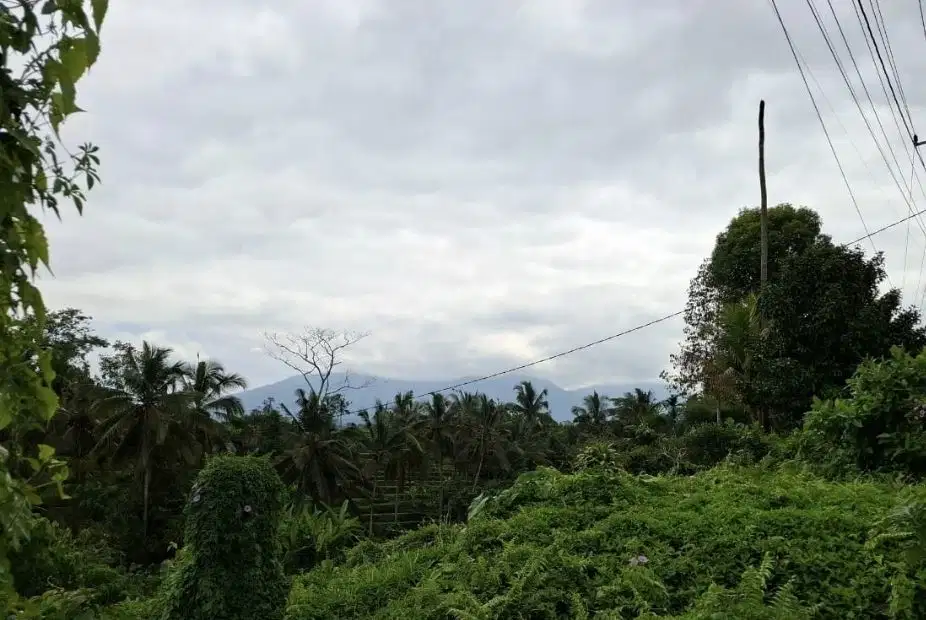 Tanah kebun dengan view gunung dan view sawah terasering